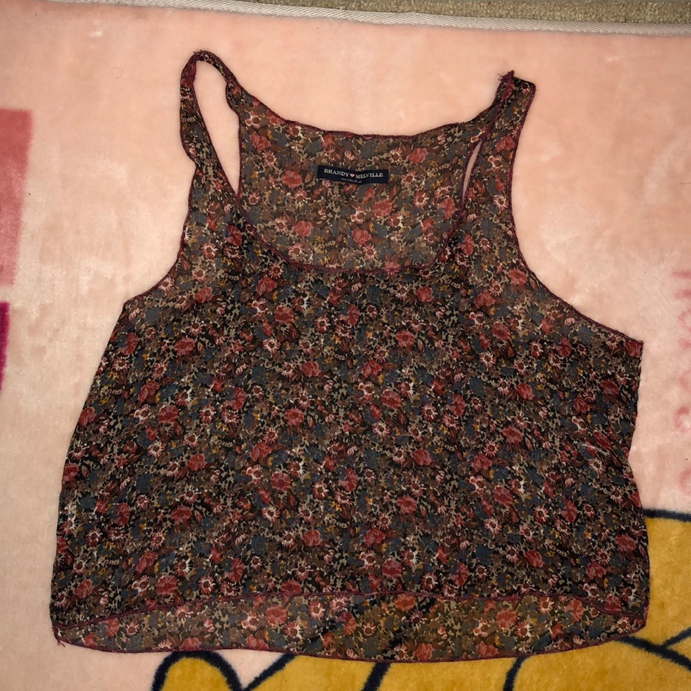 Brandy Melville sheer crop top